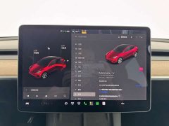 Tesla Model Y Long Range All-Wheel Drive 3D7 - ფოტო 12