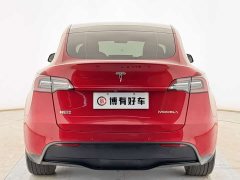 Tesla Model Y Long Range All-Wheel Drive 3D7 - ფოტო 14