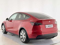 Tesla Model Y Long Range All-Wheel Drive 3D7 - ფოტო 15