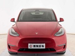 Tesla Model Y Long Range All-Wheel Drive 3D7 - ფოტო 2