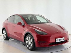 Tesla Model Y Long Range All-Wheel Drive 3D7 - ფოტო 3