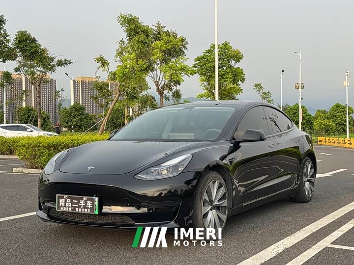 Tesla Model 3 Standard Range RWD Upgrade 3D6