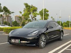 Tesla Model 3 Standard Range RWD Upgrade 3D6 - ფოტო 1