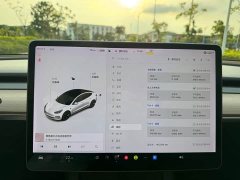 Tesla Model 3 Standard Range RWD Upgrade 3D6 - ფოტო 10