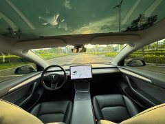 Tesla Model 3 Standard Range RWD Upgrade 3D6 - ფოტო 18