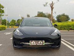 Tesla Model 3 Standard Range RWD Upgrade 3D6 - ფოტო 2