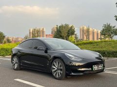 Tesla Model 3 Standard Range RWD Upgrade 3D6 - ფოტო 3