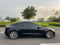 Tesla Model 3 Standard Range RWD Upgrade 3D6 - ფოტო 4