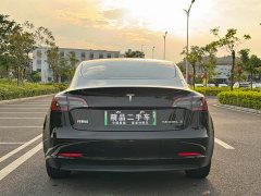 Tesla Model 3 Standard Range RWD Upgrade 3D6 - ფოტო 6
