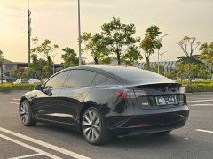 Tesla Model 3 Standard Range RWD Upgrade 3D6 - ფოტო 7
