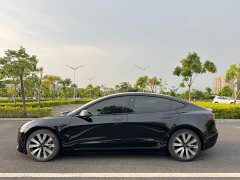 Tesla Model 3 Standard Range RWD Upgrade 3D6 - ფოტო 8