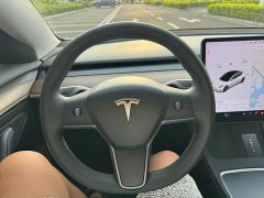 Tesla Model 3 Standard Range RWD Upgrade 3D6 - ფოტო 9