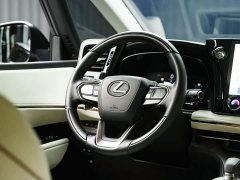 Lexus LM 500h Six-Seat Premium Edition - ფოტო 9