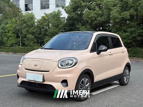 2021 Leapmotor Leapo T03 400 Luxury Edition - ავტომობილი ჩინეთიდან