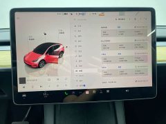 Tesla Model Y Facelift Rear-Wheel Drive - ფოტო 11