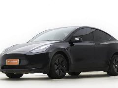 Tesla Model Y 2022 Facelift Rear-Wheel Drive - ფოტო 1