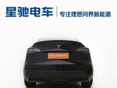 Tesla Model Y 2022 Facelift Rear-Wheel Drive - ფოტო 15