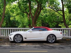 Bentley Continental 4.0T GT V8 Convertible - ფოტო 13