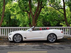 Bentley Continental 4.0T GT V8 Convertible - ფოტო 8