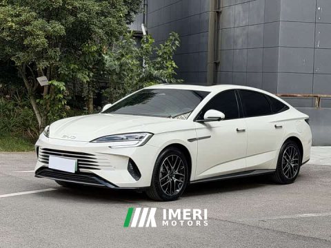 2024 BYD Dolphin 2023 DM-i 1.5T 121km Premium Edition - ავტომობილი ჩინეთიდან