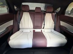 BYD Dolphin 2023 DM-i 1.5T 121km Premium Edition - ფოტო 12