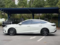BYD Dolphin 2023 DM-i 1.5T 121km Premium Edition - ფოტო 5