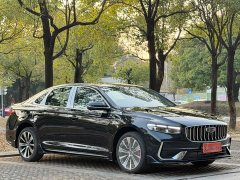Geely Xingui Xingrui Oriental Radiance 1.5TD Kunlun Edition - ფოტო 3