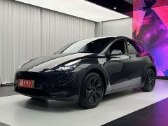 Tesla Model Y Rear-Wheel Drive - ფოტო 1