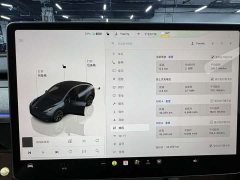 Tesla Model Y Rear-Wheel Drive - ფოტო 12