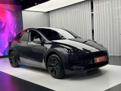 Tesla Model Y Rear-Wheel Drive - ფოტო 3