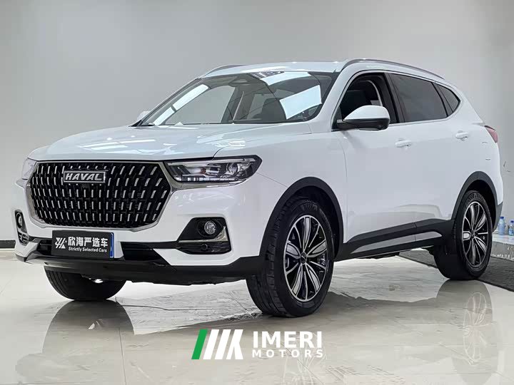 Haval H6 National Trend Edition 1.5T Automatic Champion Version