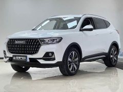 Haval H6 National Trend Edition 1.5T Automatic Champion Version - ფოტო 1