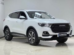Haval H6 National Trend Edition 1.5T Automatic Champion Version - ფოტო 3