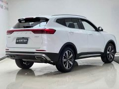 Haval H6 National Trend Edition 1.5T Automatic Champion Version - ფოტო 6