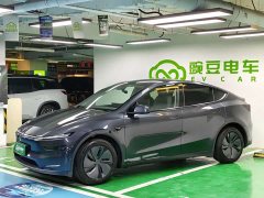 Tesla Model Y Long Range All-Wheel Drive Launch Edition - ფოტო 2
