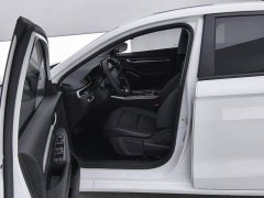 Geely Emgrand 4th Generation Champion Edition 1.5L CVT Luxury - ფოტო 9