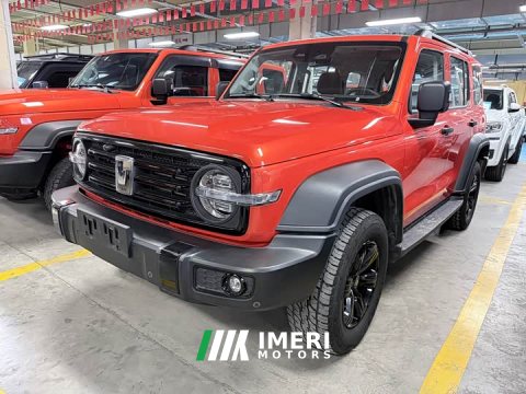 2022 Tank 300 2021 Off-Road Edition 2.0T Conqueror - ავტომობილი ჩინეთიდან