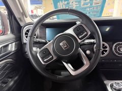 Tank 300 2021 Off-Road Edition 2.0T Conqueror - ფოტო 13