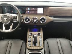 Tank 300 2021 City Edition 2.0T Essential - ფოტო 16