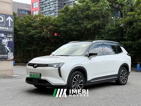 2021 Weltmeister WM W6 520km ACE Ultimate Smart Edition - ავტომობილი ჩინეთიდან