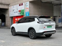 Weltmeister WM W6 520km ACE Ultimate Smart Edition - ფოტო 7