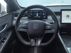 BYD Qin PLUS DM-i Smart Drive Edition 55KM Leading - ფოტო 15