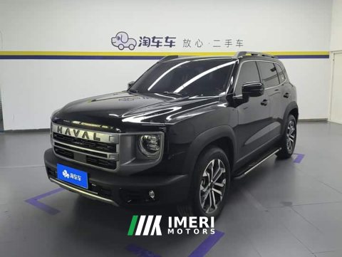 2024 Great Wall Dachshund 1.5T DCT Border Collie Edition - ავტომობილი ჩინეთიდან