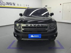 Great Wall Dachshund 1.5T DCT Border Collie Edition - ფოტო 2