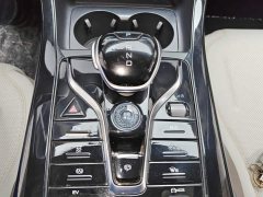 BYD Qin PLUS Glory Edition DM-i 55KM Leading - ფოტო 16