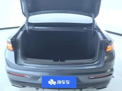 Geely Xingui Xingrui 2.0T Diesel Luxury - ფოტო 4