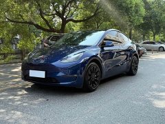 Tesla Model Y Long Range All-Wheel Drive 3D7 - ფოტო 1