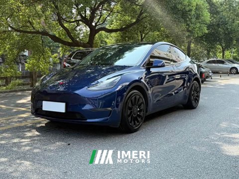 2021 Tesla Model Y Long Range All-Wheel Drive 3D7 - ავტომობილი ჩინეთიდან