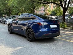 Tesla Model Y Long Range All-Wheel Drive 3D7 - ფოტო 2