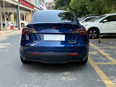 Tesla Model Y Long Range All-Wheel Drive 3D7 - ფოტო 3